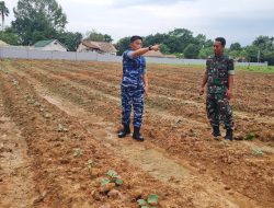 Komandan Lanud SMH Tinjau Lahan Sayuran Baru Seluas 6 Hektar