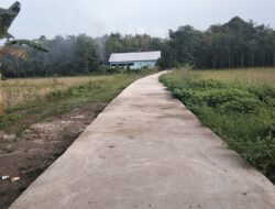 Akses Perekonomian lancar, Setelah Jalan Titian Muara Sungai dibangun 